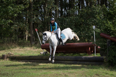 Springers Silver Morning i CNC1* military